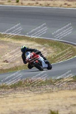 media/Apr-25-2025-2WTD (Fri) [[fab9f350b7]]/B Group/1220pm (Turn 2)/